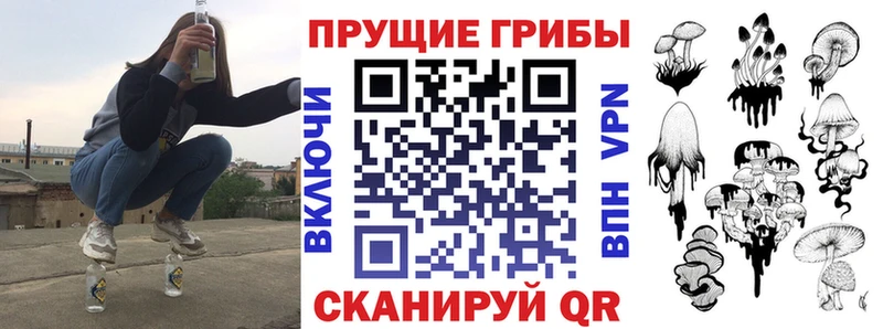блэк спрут сайт  Апатиты  Псилоцибиновые грибы Cubensis 