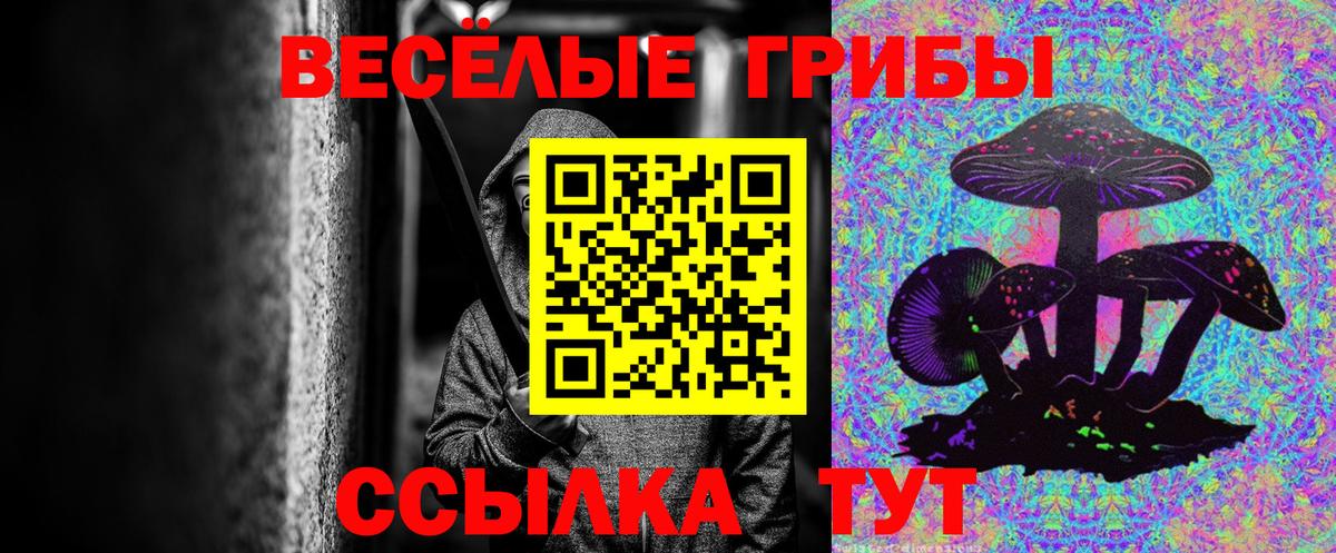 Галлюциногенные грибы Cubensis Апатиты