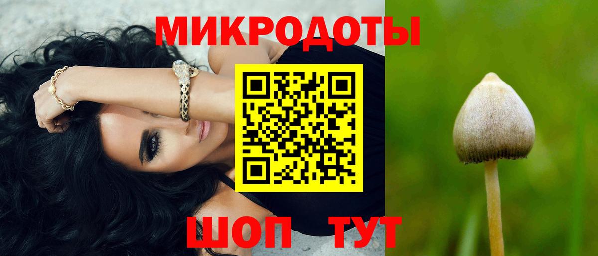 Апатиты  Галлюциногенные грибы Psilocybe  Вход с VPN  Псилоцибиновые грибы Psilocybe 